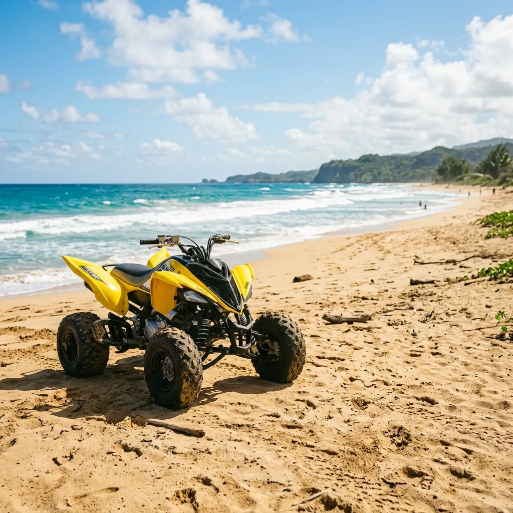 Quad Bike Rental